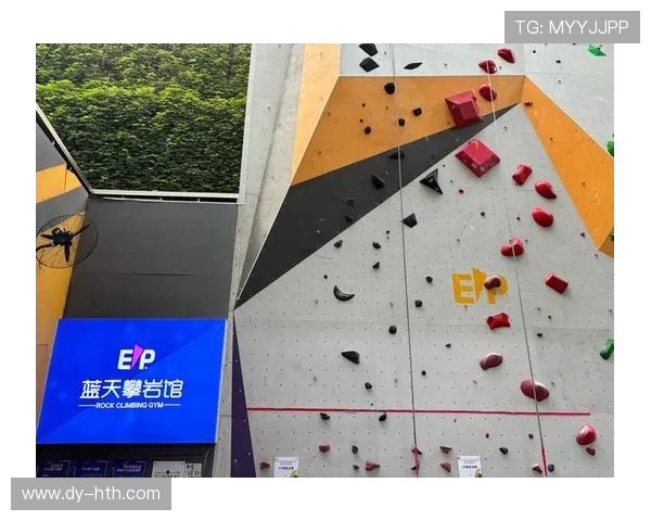 上海攀岩队耐力训练的探索与挑战聚焦攀岩运动的未来发展