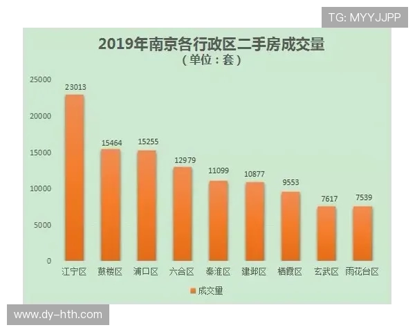 南京极限运动队的控制策略与发展趋势深度解析